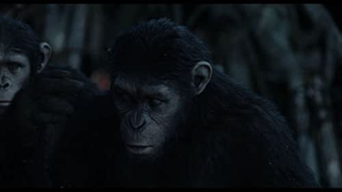 dawn of the planet of the apes full movie 2014